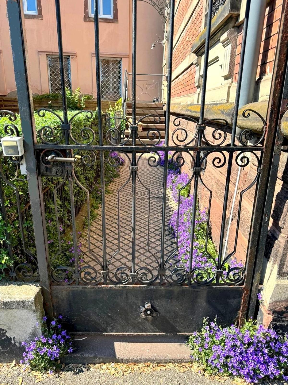 Appartement Luxueux Centre Ville Colmar Zewnętrze zdjęcie